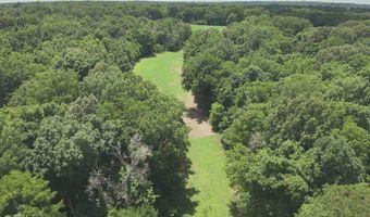 Hwy 1591, Bardwell, KY 42023