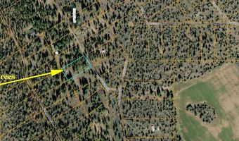 Bufflehead Drive TL 10, Bonanza, OR 97623