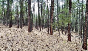99 Big Notch Forest Trl, Bluewater, NM 87005