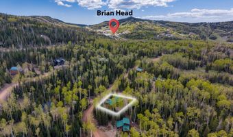 310 N Scenic Dr, Brian Head, UT 84719