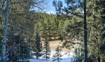 Lot 26 San Andres Terrace, Angel Fire, NM 87710