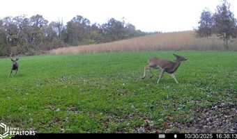 560 Th Ave, Albia, IA 52531