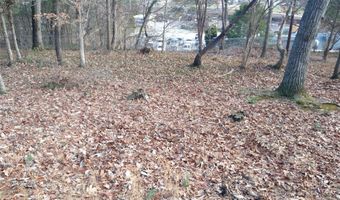 335 Heather Ct, Asheville, NC 28804