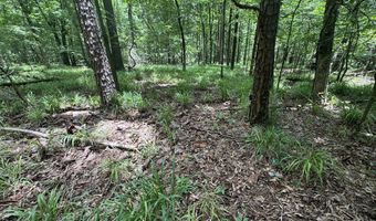 Pine Lodge Road, Batesville, MS 38606