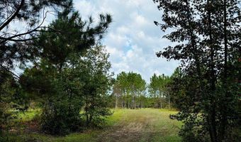 644 Ash-Harrel Loop, Abbeville, GA 31001