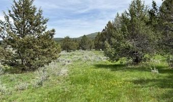 Fishhole Creek Road, Bly, OR 97622