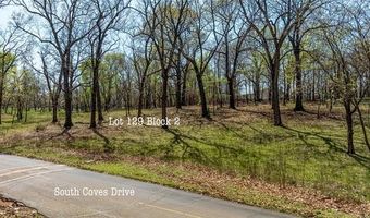 Blue Grouse Lane, Afton, OK 74331