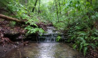 14 5 Neil Robinson Rd, Anderson, MO 64831