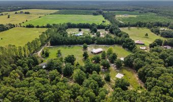 4689 NW 26th St, Bell, FL 32619