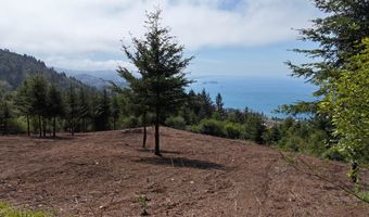 McVay Creek Rd TL310, Brookings, OR 97415