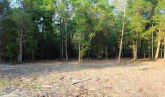 14 5 Acre Hwy. 41, Marion, SC 29571