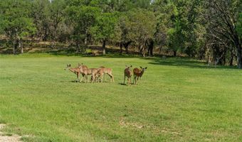 Rose Way lot 6, Aquilla, TX 76622