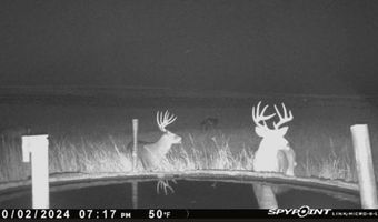 TBD County Road 170, Agate, CO 80101