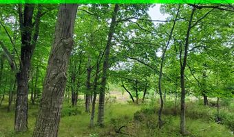 V/L 20AC Monaghan Point Road, Alpena, MI 49707