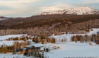130 YELLOW ROSE Dr, Alta, WY 83414