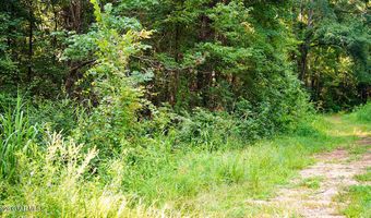 Cypress Pointe Drive lot 15, Brooksville, MS 39739