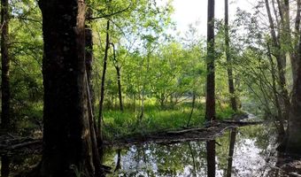 AMBOY RD, Arabi, GA 31712