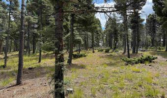 S Vail Overlook lot 310, Angel Fire, NM 87710
