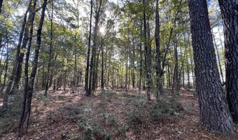 0 Bar M Farm Rd, Andalusia, AL 36421