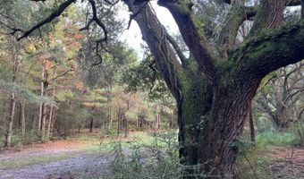 Lower Bay Road, Bay St. Louis, MS 39520