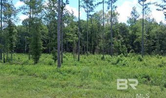 00000 Lottie Rd, Atmore, AL 36507
