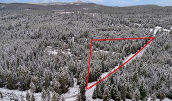 NKA E Lowland Drive, Athol, ID 83801