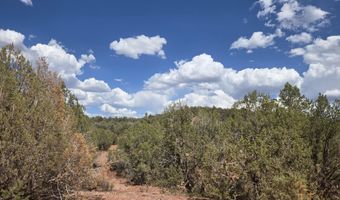 215 Cathedral Vly, Ash Fork, AZ 86320
