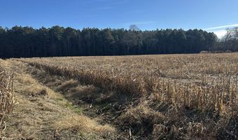 0 Bivalve Lodge Rd, Bivalve, MD 21814