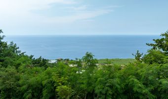 ROAD E, Captain Cook, HI 96704