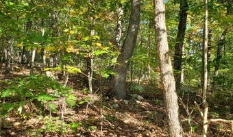 County Road 118, Annapolis, MO 63620