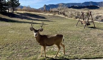 65 Trinity Pass A, Cody, WY 82414