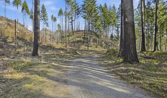 53189 MCKENZIE Hwy, Blue River, OR 97413