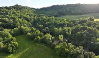 TBD Bear Pen Rd, Arkansaw, WI 54721