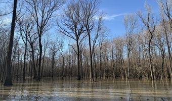 Gun Baoyu Road, Belzoni, MS 39038