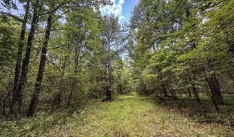 Pine Lodge Road, Batesville, MS 38606