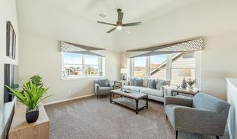 805 Twin Pine Ct, Anna, TX 75409