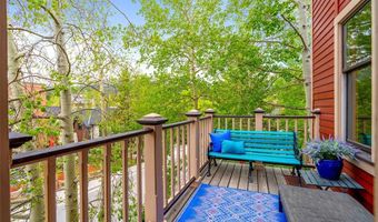 160 E Adams Ave 2, Breckenridge, CO 80424