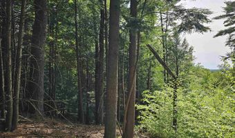 Province Road lot 26, Belmont, NH 03220