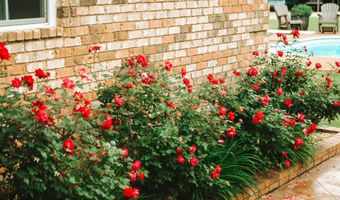 1450 CR 704, Blue Mountain, MS 38610