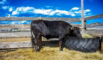 2733 Mt Highway 69, Boulder, MT 59632