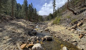 122 Black Hollow Rd, Bellvue, CO 80512