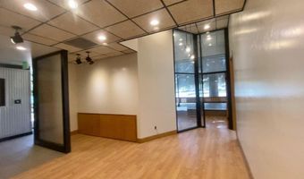 225 N Mill St 117, Aspen, CO 81611