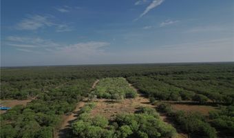 209 CR 1461, Alice, TX 78332