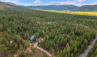 COUNTY ROAD 2196, Alpine, AZ 85920