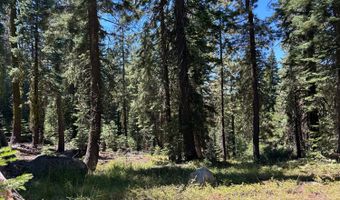 2 Blue Rock Trl, Arnold, CA 95223