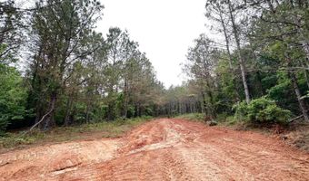 3 County Road 5112, Ethel, MS 38829