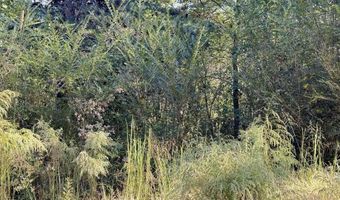 1028 Goddard Rd, Bear Creek, AL 35543