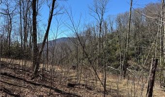 Lot # 70 Tall Tree Lane, Banner Elk, NC 28604