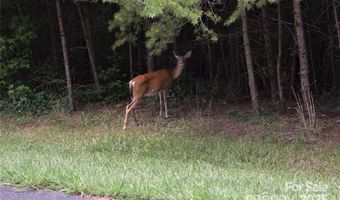 Whisper Lake Drive 118, Badin Lake, NC 28127