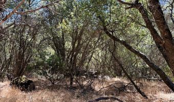 41902 Woodward Way, Ahwahnee, CA 93601